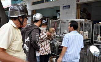 Chuộc thú cưng giá trên trời ở chợ chó mèo lớn nhất Sài Gòn