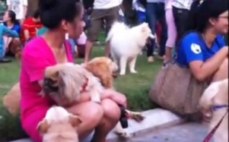 Nữ sinh Hà thành rộ mốt nuôi chó lạ