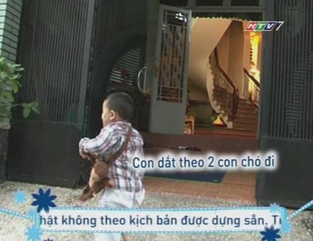 Lần đầu tiên nhận nhiệm vụ từ mẹ, Bin nhất quyết dắt 2 chú chó theo làm bạn