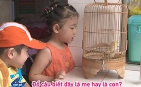 Voi, hổ xuất hiện trong “Con đã lớn khôn”