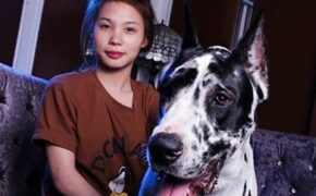 Chuyện nữ sinh nuôi thú cưng “độc”