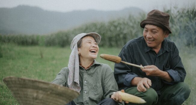 Hạnh phúc bình dị của cặp vợ chồng nông dân Hà Tĩnh trên cánh đồng ngô