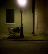 Thư gửi người bạn gái tồi