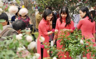 Ngắm 300 loài hoa hồng khoe sắc tại Hà Nội