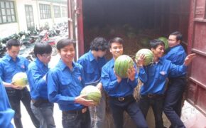 Đoàn viên, thanh niên hồ hởi tiếp sức cho nông dân trồng dưa