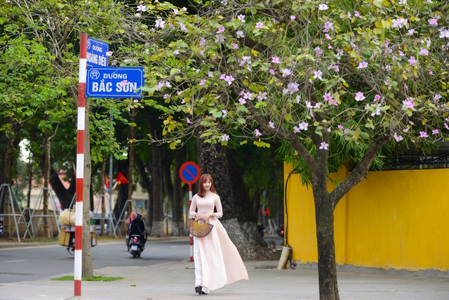 Nữ sinh Hà thành dịu dàng trong sắc hoa ban - 6