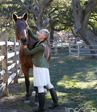 Portia de Rossi có 2 chú ngựa ở đây, ngoài ra rất nhiều mèo hoang cũng thường ghé thăm nhà của họ