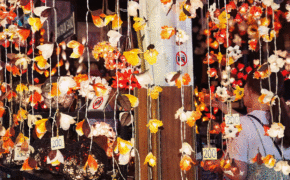 Sắc màu Chatuchak