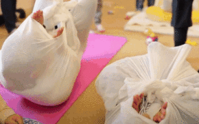 Xem cách chữa đau lưng “lạ đời” của người Nhật