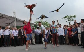 Lễ hội sinh vật cảnh lớn nhất Việt Nam tại Vinhomes Riverside