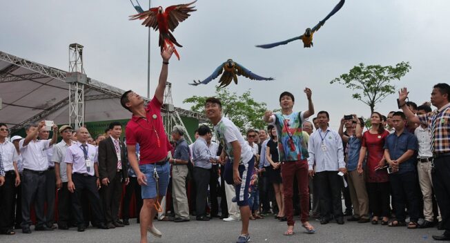 Lễ hội sinh vật cảnh lớn nhất Việt Nam tại Vinhomes Riverside