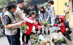 MC Phan Anh cùng bạn trẻ Hà Nội dựng “công trình xanh”