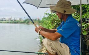 Giữa khu đô thị tiền tỉ, đàn ông Sài Gòn say sưa bắt cá