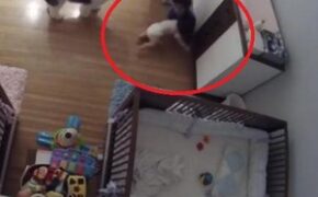 Thót tim khoảnh khắc cậu bé 9 tuổi lao mình đỡ em trai rơi từ trên cao