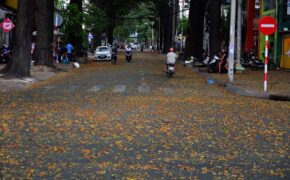 Đẹp mê mẩn hình ảnh sao đen tung bay khắp đường phố Sài Gòn