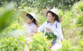 MC Minh Trang: “Có nên trả công cho con khi làm việc nhà?”