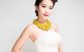 Hoa khôi ĐBSCL được mời tham gia cuộc thi Hoa hậu Toàn Cầu 2015