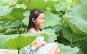 Đầm sen hồ Tây hút khách chụp ảnh