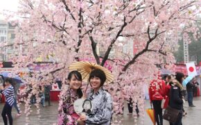 Những sự kiện văn hóa, giải trí đặc sắc cuối tuần tại Hà Nội