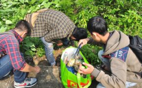 250 bạn trẻ tham gia “Vì một Sơn Trà xanh”