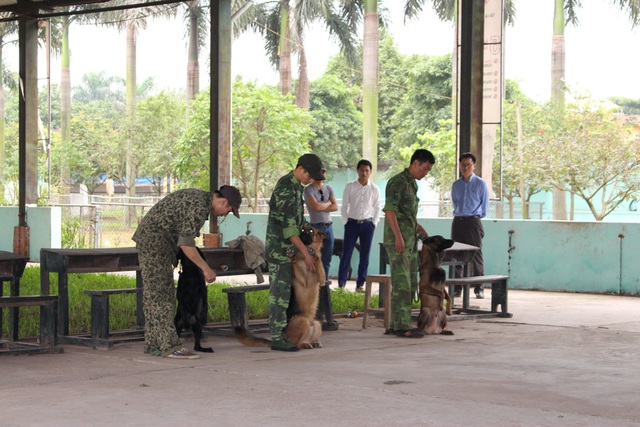 Gắn bó trong suốt thời gian huấn luyện, những chú chó đã trở thành người bạn thân thiết của các huấn luyện viên. Những chú chó được tuyển chọn để huấn luyện đều có khả năng bảo vệ, trấn áp tội phạm cao.