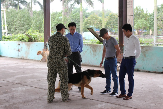 Chú chó trong ảnh là người bạn thân thiết của một doanh nhân người Hàn hiện sinh sống trong Đà Nẵng. “Tôi rất thích một chú chó thông minh, vừa có khả năng bảo vệ chủ mà lại biết nghe lời và có thể ở bên, giúp tôi giải tỏa căng thẳng. Bất cứ khi nào có thời gian rảnh, tôi lại bay ra Hà Nội thăm chú chó yêu quý của mình”, vị doanh nhân chia sẻ.