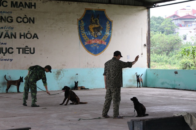 Tuy chương trình huấn luyện cho các học viên là như nhau, nhưng mỗi chú chó có một tính cách, một hệ thần kinh khác nhau nên thời gian dạy dỗ, huấn luyện cũng phải được phân bố một cách hợp lý.