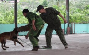 Cận cảnh quá trình huấn luyện chó thành “dũng sĩ”