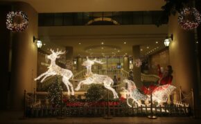 Không khí Giáng sinh rộn ràng đường phố Sài Gòn