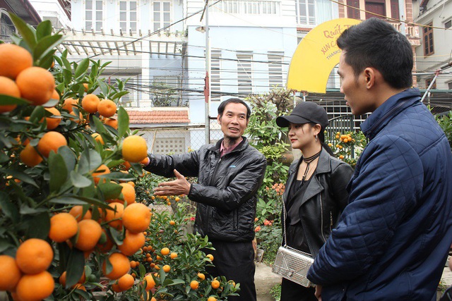 Ông Mạnh dự tính nếu không có gì bất thường về thời tiết thì vườn quất cảnh sẽ cho doanh thu khoảng 1 tỷ đồng trong dịp Tết năm nay.