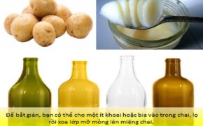 Những mẹo hay giúp ngôi nhà “sạch bóng” côn trùng