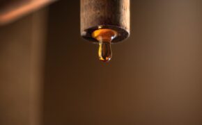 Nguyên liệu bất ngờ cho nước mắm chuẩn ngon