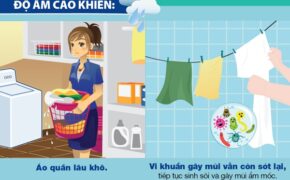 Thách thức mùi ẩm mốc trên áo quần trong ngày mưa