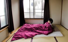 Vì sao người Nhật thích phong cách tối giản trong nhà?