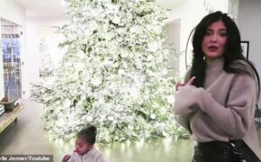 Kylie Jenner khoe ảnh cây thông Noel tại nhà riêng