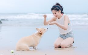 “Cô gái trà sữa” Việt đáng yêu trong bộ ảnh mới cùng thú cưng