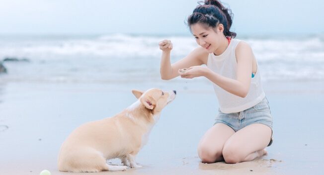 “Cô gái trà sữa” Việt đáng yêu trong bộ ảnh mới cùng thú cưng