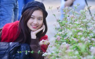 Bạn trẻ háo hức chụp ảnh với hoa tam giác mạch lần đầu khoe sắc ở Hà Nội