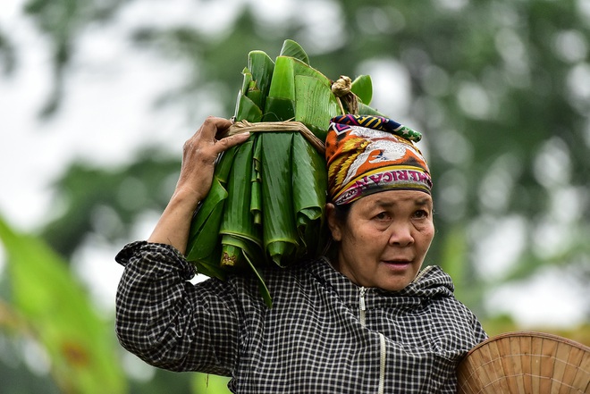 Gặp người phụ nữ hơn 35 năm hái lá chuối mưu sinh - 17