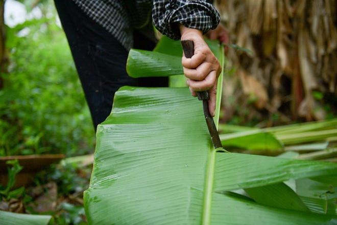 Gặp người phụ nữ hơn 35 năm hái lá chuối mưu sinh - 14