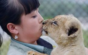 9X trở thành “cô nuôi dạy hổ” đích thực