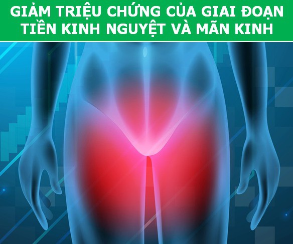 “Chữa bách bệnh” chỉ bằng vài động tác massage chân đơn giản hàng ngày - 2