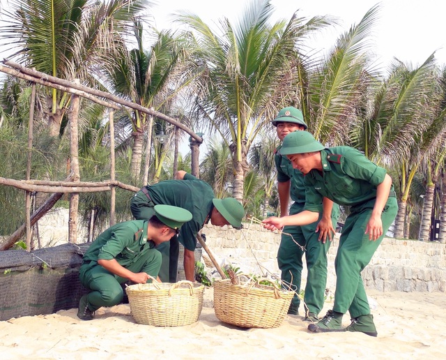 Phú Yên: Hơn 200 đoàn viên tham gia chiến dịch làm sạch bãi biển - 2