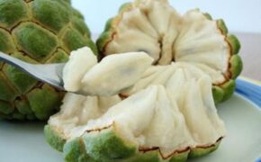 Những người có bệnh này cần kiêng ăn na để bảo vệ sức khỏe