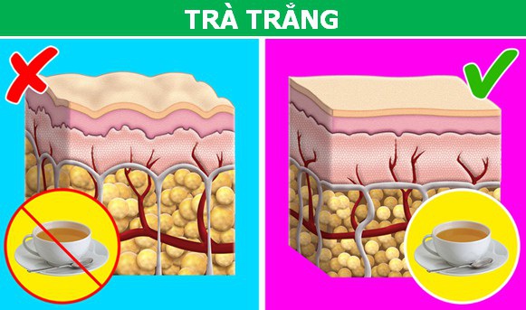 5 loại trà giúp cơ thể cân đối không kém gì việc tập Gym - 4