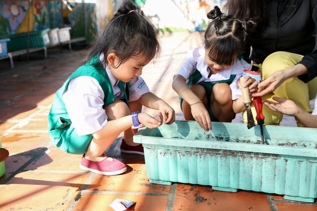 Trồng cây gieo lộc làm nên cái tết ý nghĩa cùng OMO - 2 Trồng cây gieo lộc làm nên cái tết ý nghĩa cùng OMO - 2