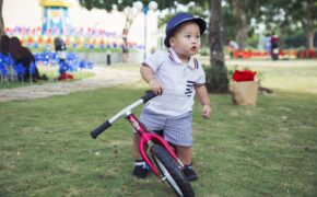 Phượt thủ nhí chinh phục Phan Xi Păng dạn dĩ trước ống kính