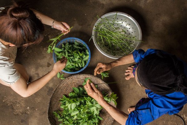 Cuộc sống người dân tộc Tày trong mắt du khách nước ngoài - 1