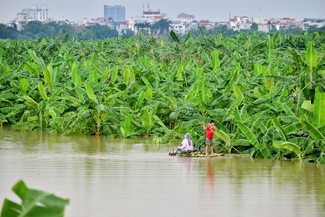  Chị em Lương trên bè chuối giữa mênh mông nước sông mùa lũ. 