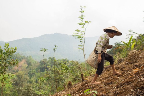 Cuộc sống người dân tộc Tày trong mắt du khách nước ngoài - 10